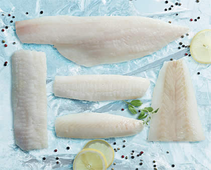 Wild Caught cod and haddock frozen fish