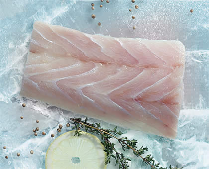 Corvina fillets frozen fish
