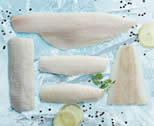 Cod and Haddock