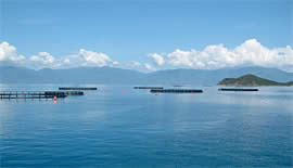 responsible fish farming aquaculture healthy environment