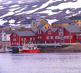 Norway farm raised salmon wild caught cod and haddock fishing frozen fish